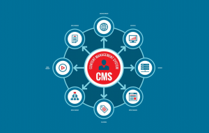 The Best CMS For SEO In 2022